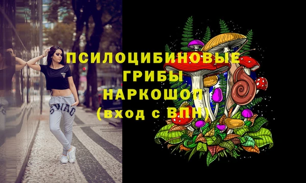 a pvp Абинск