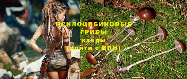 a pvp Абинск